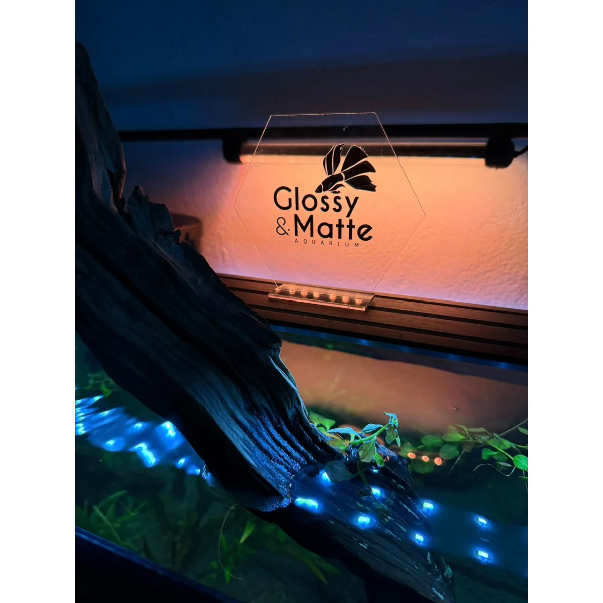 Glossy & Matte Aquarium