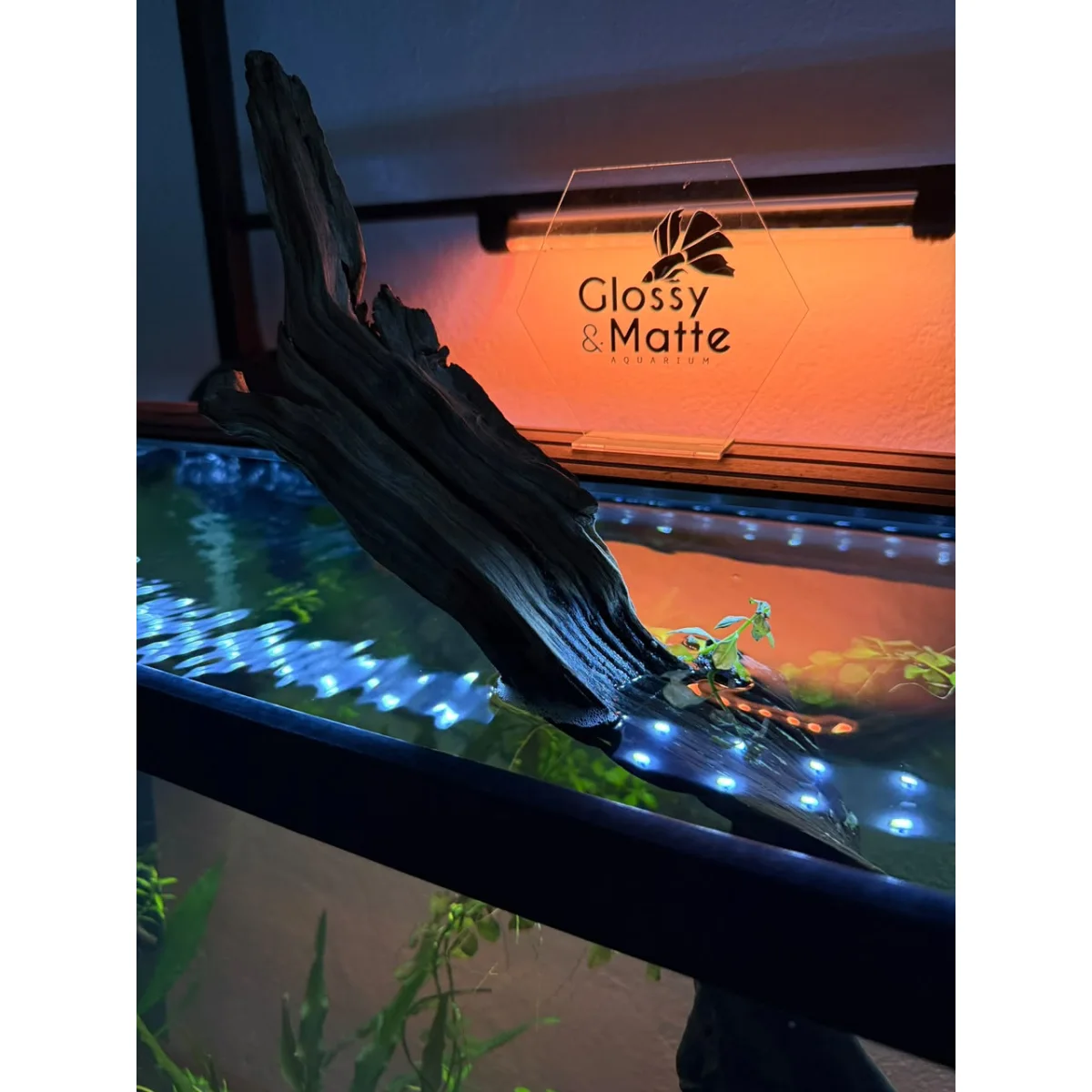 Glossy & Matte Aquarium